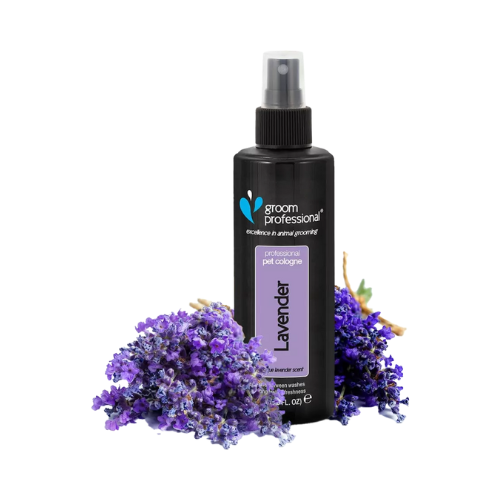 Groom Professional Lavender Cologne - 200ml - Image 2