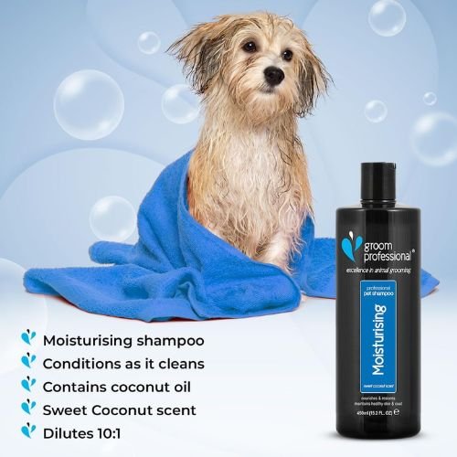 Groom Professional Coconut Moisturising Shampoo 450 ml - Image 3