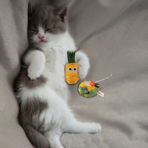 FOFOS Juice & Pineapple with Catnip Cat Toy - Image 4