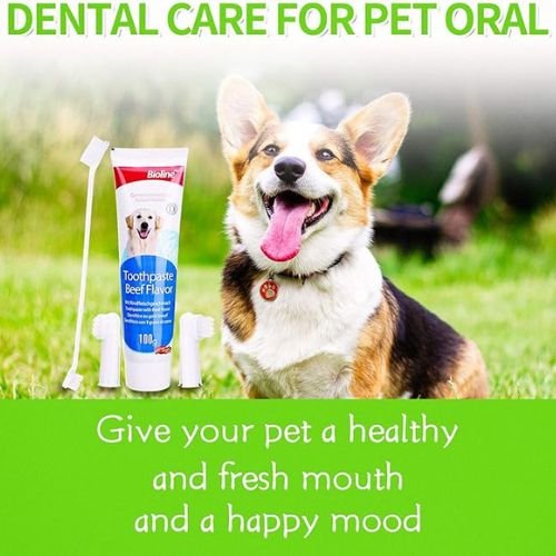 Bioline Dental Care Set - Image 2