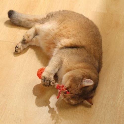 M-PETS Charmy Matatabi Silvervine Cat Toy – Orange / Green - Image 4