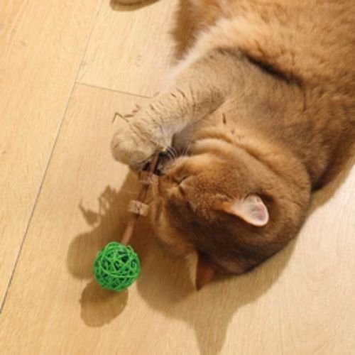 M-PETS Charmy Matatabi Silvervine Cat Toy – Orange / Green - Image 7