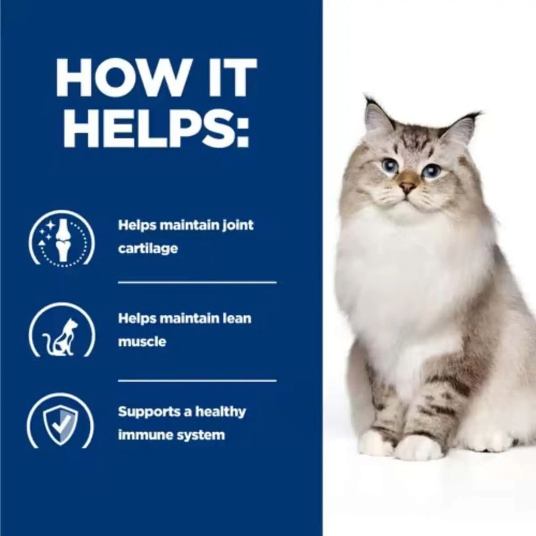 Hill's Prescription Diet Dry Cat Food J/D Chicken Joint Mobility Support 1.5kg - Image 3