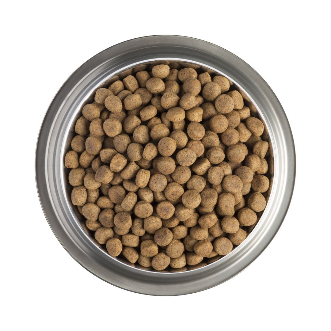 Purina Pro Plan Dry Dog Food DRM Skin & Coat Support 3kg - Image 4