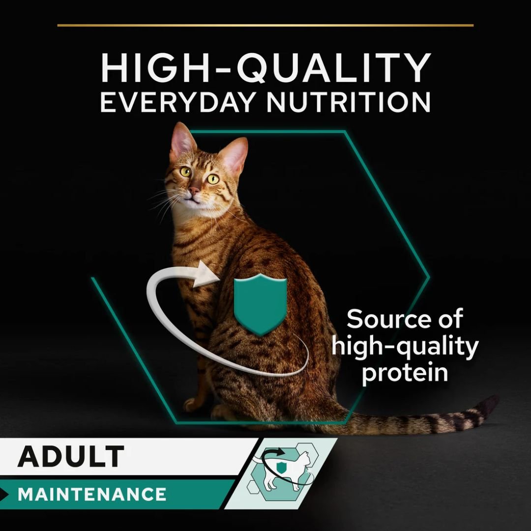 Purina Pro Plan Wet Cat Food Chicken Hydration Support 85g - Image 5