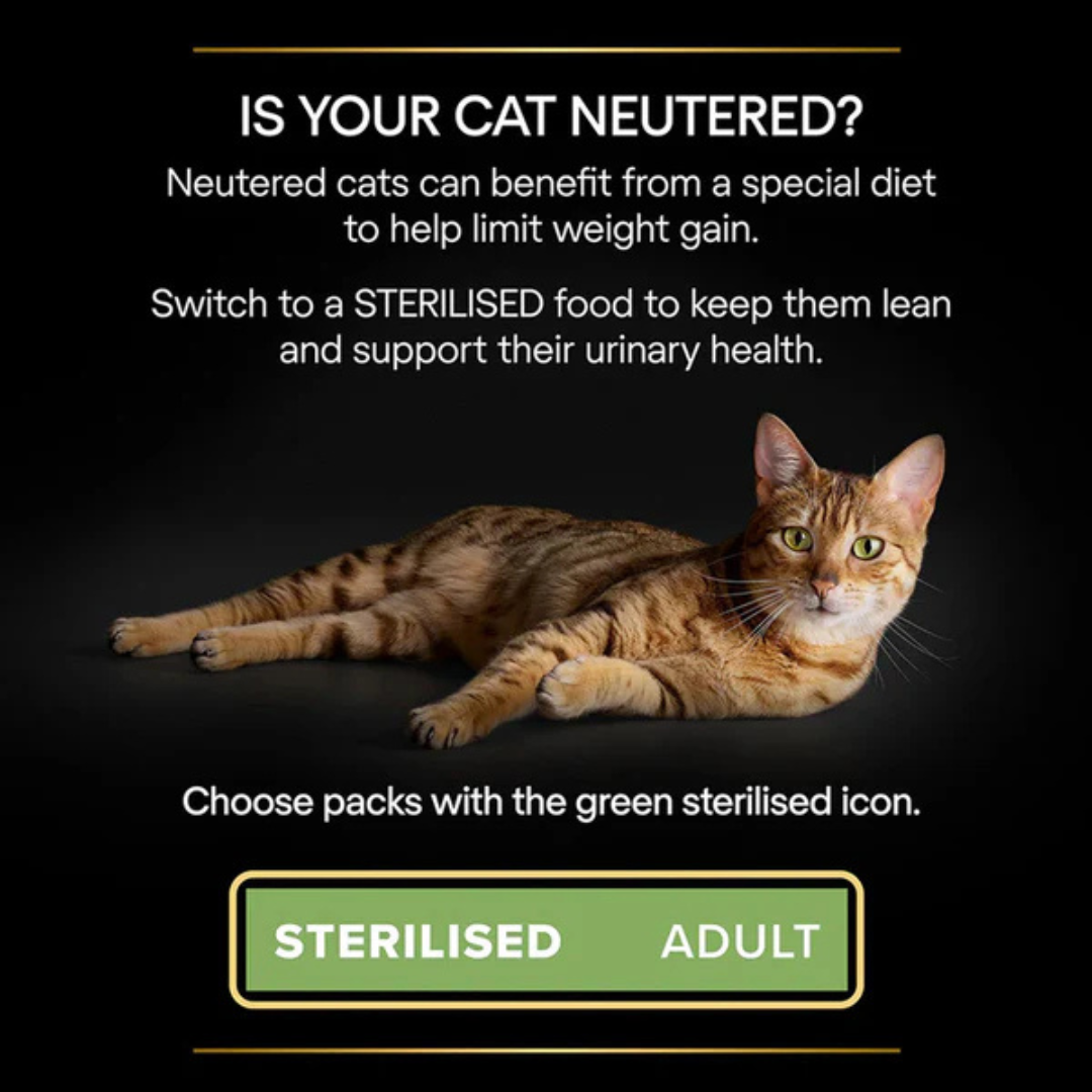 Purina Pro Plan Wet Cat Food Chicken Sterilised Adult Formula 85g - Image 2