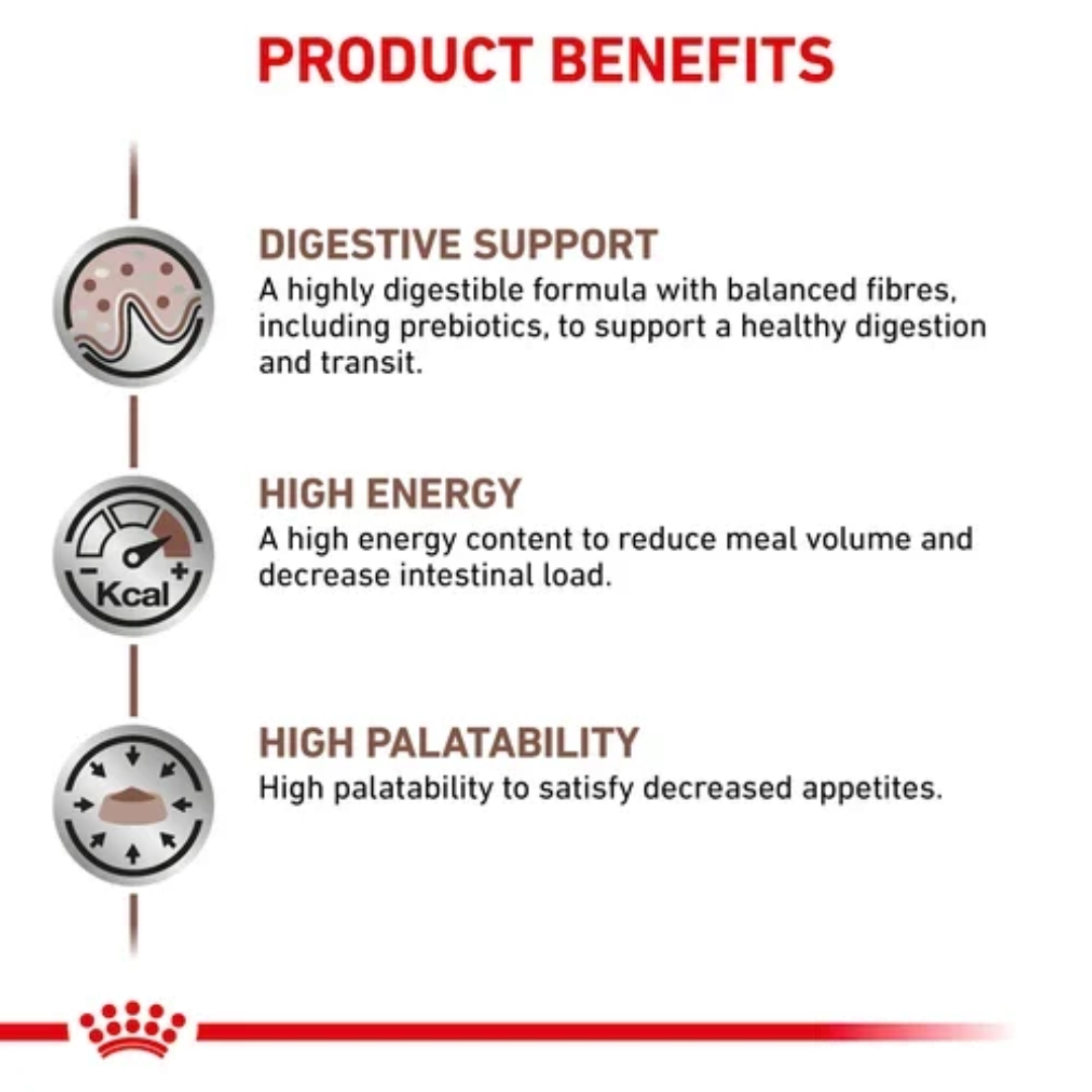 Royal Canin Feline Gastrointestinal 2 KG - Image 2