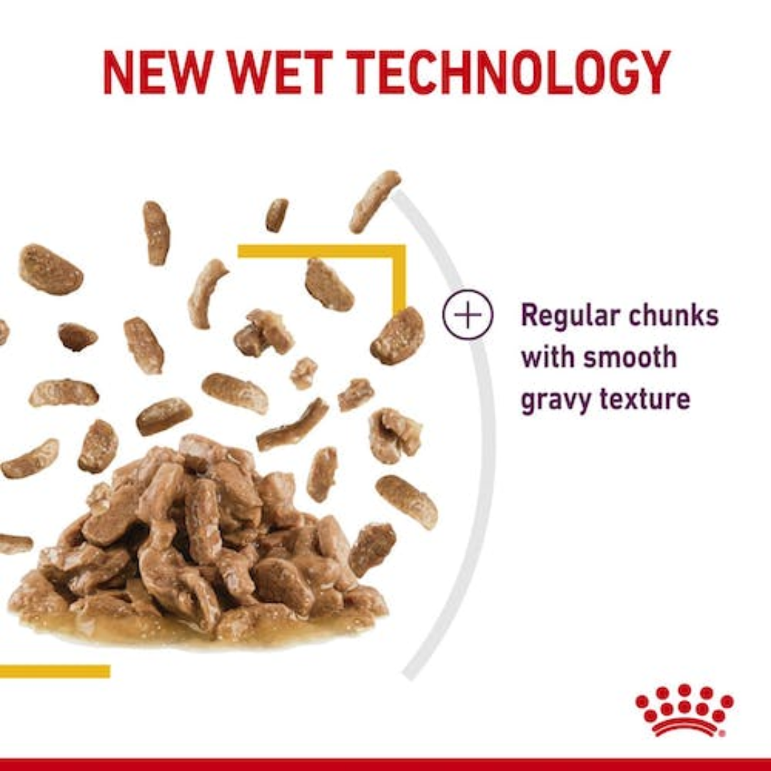 Royal Canin Feline Health Nutrition Sensory Taste Gravy (Wet Food - Pouches) 85 g - Image 2