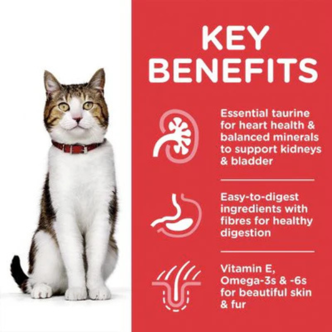 Hill's Science Plan Wet Cat Food Salmon Sterilised Adult Formula Weight Management - Image 2