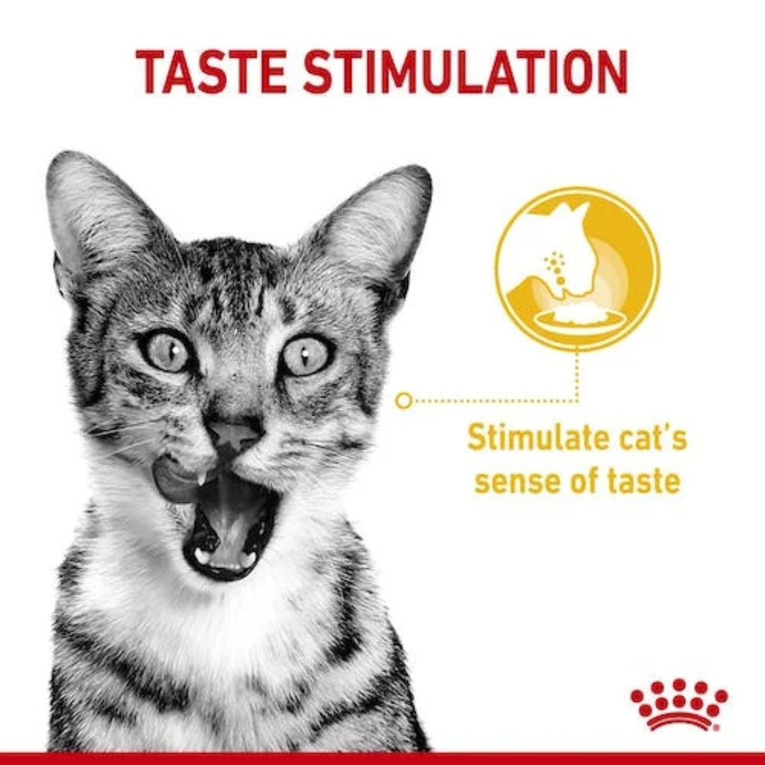Royal Canin Feline Health Nutrition Sensory Taste Gravy (Wet Food - Pouches) 85 g - Image 3