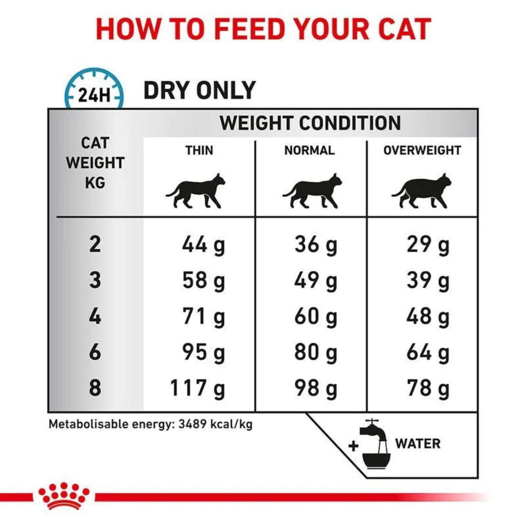 Royal Canin Feline Gastrointestinal Kitten 2 KG - Image 4