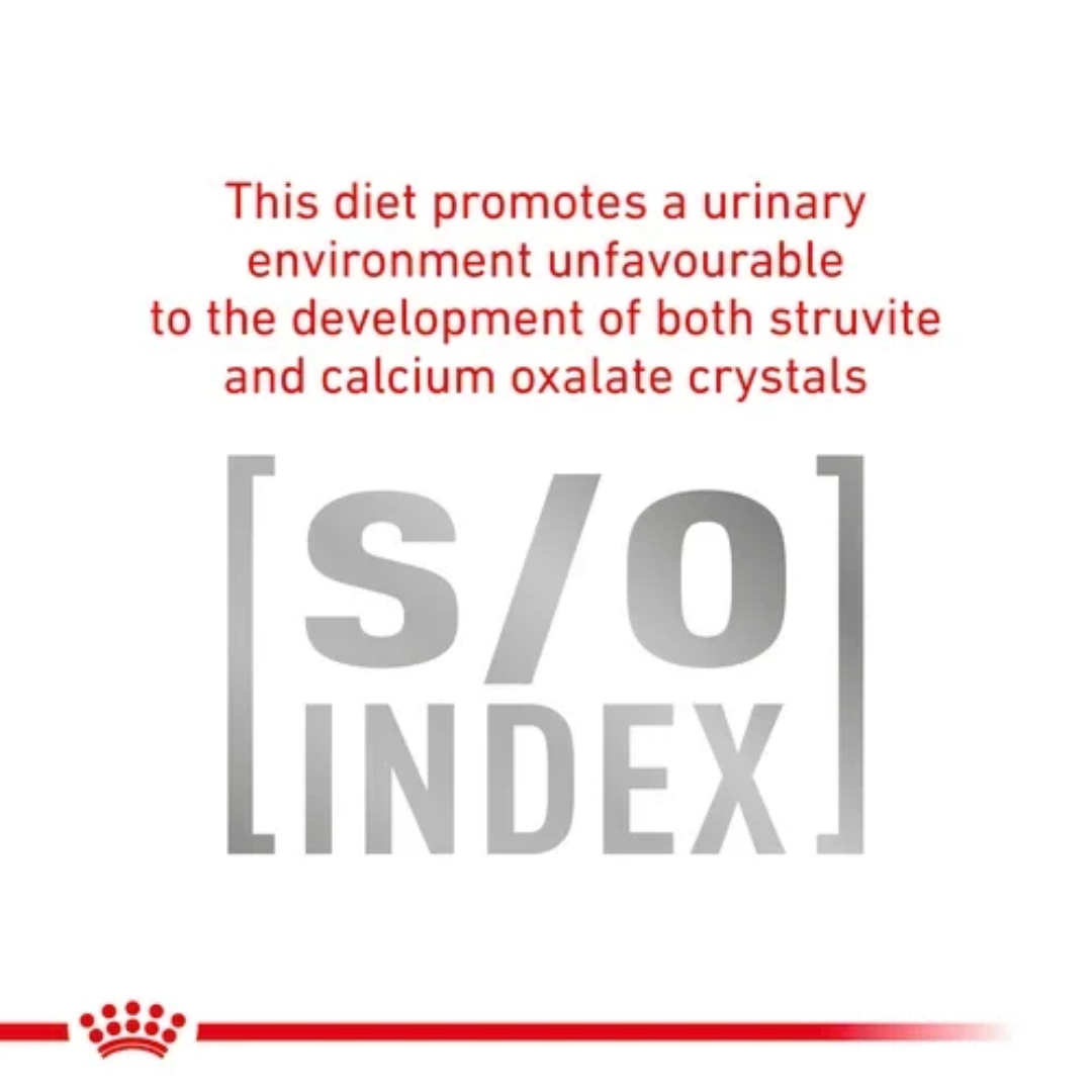 Royal Canin Feline Gastrointestinal 2 KG - Image 5