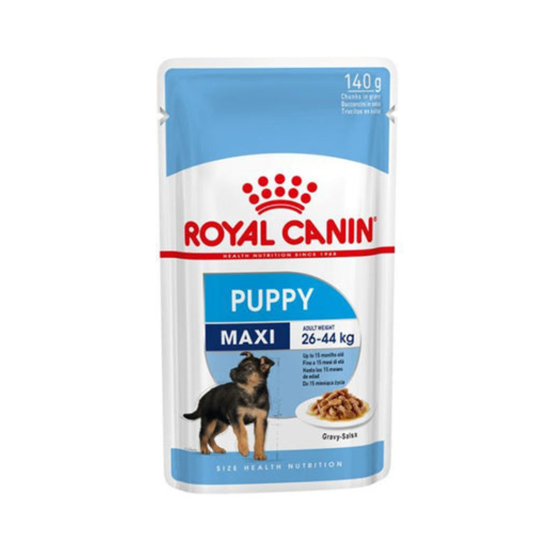 Pouch of Royal Canin Maxi Puppy wet dog food showing a puppy and chunks in gravy, highlighting the 140 G size and suitability for adult weights 26-44 KG.