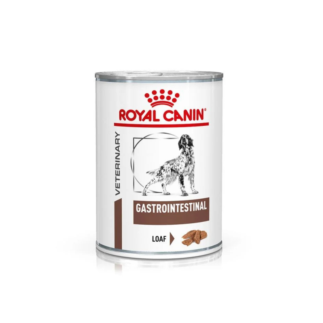 400g can of Royal Canin Veterinary Health Nutrition Gastrointestinal Loaf wet dog food.