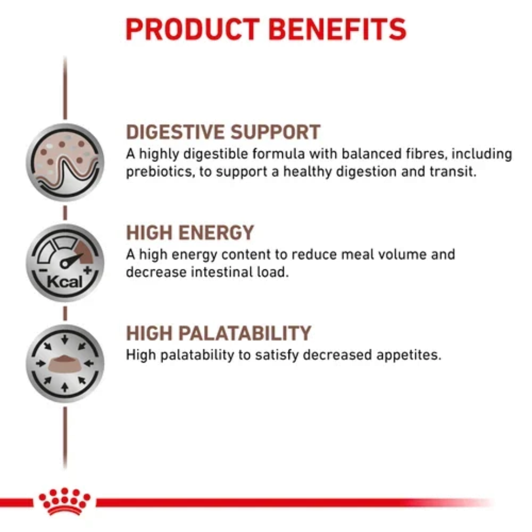 Royal Canin Veterinary Health Nutrition Gastrointestinal Loaf Canned Dog Food - 400g - Image 2