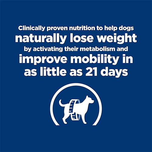 Hill's Prescription Diet Dry Dog Food Chicken Weight Management Joint Mobility Support 4kg - Image 3