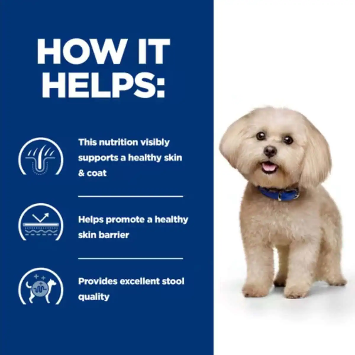 Hill's Prescription Diet Dry Dog Food z/d Hypoallergenic Support Digestive Care 1kg - Image 3