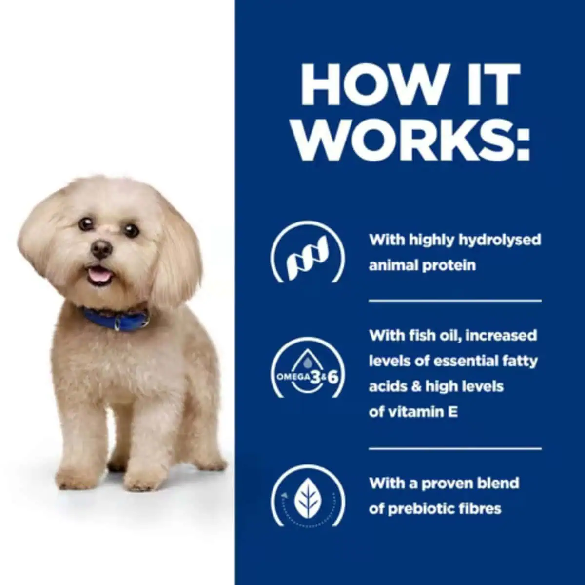 Hill's Prescription Diet Dry Dog Food z/d Hypoallergenic Support Digestive Care 1kg - Image 5