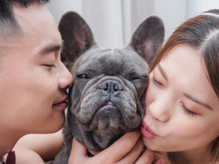 Couple affectionately kissing their French Bulldog on both cheeks